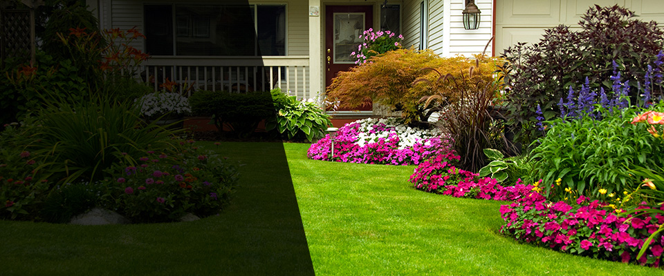 Bluefield Landscapers